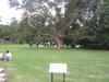AU_2010-04-24_024.JPG